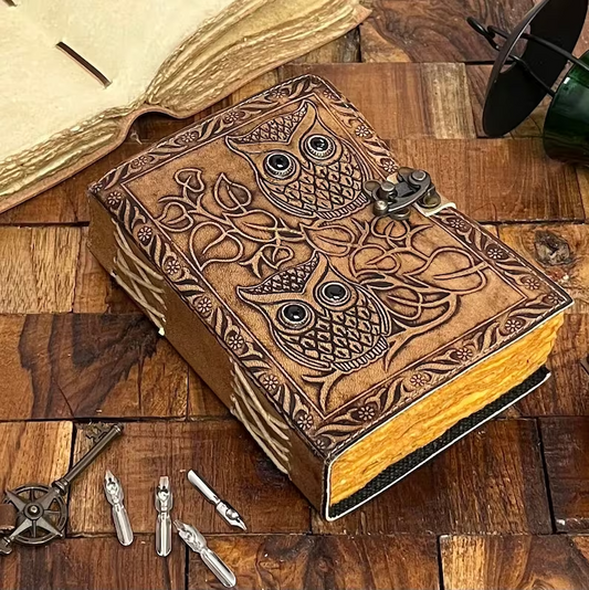 Owl Stone Eyes Leather Journal With Brass Lock